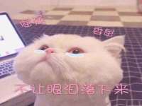 徐州陆壹柒商贸有限公司