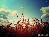 徐州陆壹柒商贸有限公司