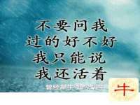 徐州陆壹柒商贸有限公司