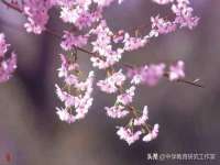 徐州陆壹柒商贸有限公司