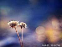 徐州陆壹柒商贸有限公司