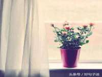 徐州陆壹柒商贸有限公司