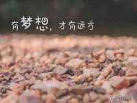 徐州陆壹柒商贸有限公司
