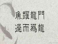 徐州陆壹柒商贸有限公司