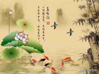 徐州陆壹柒商贸有限公司