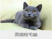 徐州陆壹柒商贸有限公司
