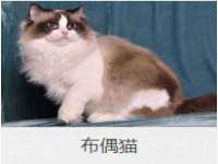 徐州陆壹柒商贸有限公司