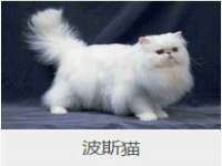 徐州陆壹柒商贸有限公司