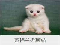 徐州陆壹柒商贸有限公司