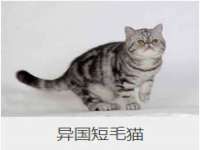 徐州陆壹柒商贸有限公司