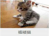 徐州陆壹柒商贸有限公司