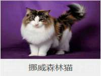 徐州陆壹柒商贸有限公司