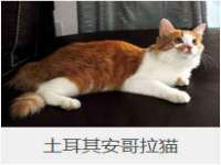 徐州陆壹柒商贸有限公司