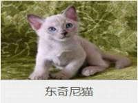 徐州陆壹柒商贸有限公司