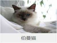 徐州陆壹柒商贸有限公司
