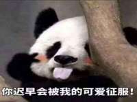 徐州陆壹柒商贸有限公司