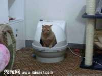 徐州陆壹柒商贸有限公司