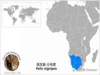 徐州陆壹柒商贸有限公司