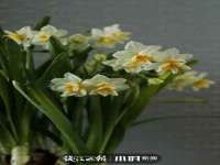 徐州陆壹柒商贸有限公司