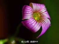 徐州陆壹柒商贸有限公司