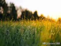 徐州陆壹柒商贸有限公司