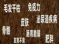 徐州陆壹柒商贸有限公司