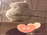 徐州陆壹柒商贸有限公司