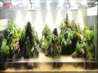 徐州陆壹柒商贸有限公司