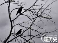 徐州陆壹柒商贸有限公司