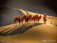 徐州陆壹柒商贸有限公司