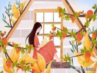 徐州陆壹柒商贸有限公司