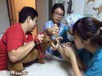 徐州陆壹柒商贸有限公司