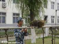 徐州陆壹柒商贸有限公司