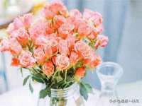 徐州陆壹柒商贸有限公司