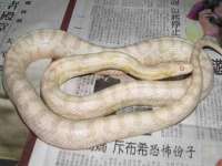 徐州陆壹柒商贸有限公司